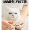 黄色小熊猫咪指甲剪不锈钢固定圆孔宠物指甲刀新手盲剪防出血/个 商品缩略图2
