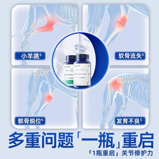 vetwish唯特适宠物鲨鱼软骨素保护关节润骨修复预防健骨猫狗补钙 商品图3