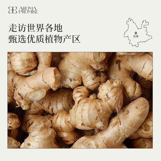 姜精油10ml 二氧化碳超临界萃取 辛辣带甜 如冬日暖阳激励温暖身体 商品图5