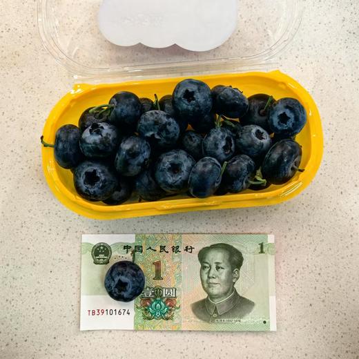 【迷迭蓝蓝莓】·迷迭兰24+ 商品图3