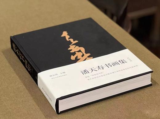 《潘天寿书画集》（纪念版），潘公凯 主编，布面精装，8 开，504页，仅印500册，浙江人民美术出版社2024年二印。定价680，售价544
  商品图1