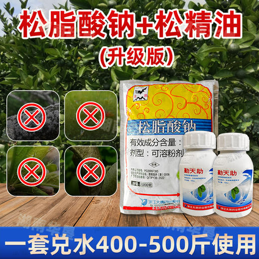 松脂酸钠（升级版）+松精油果园茶园清园专用 商品图3