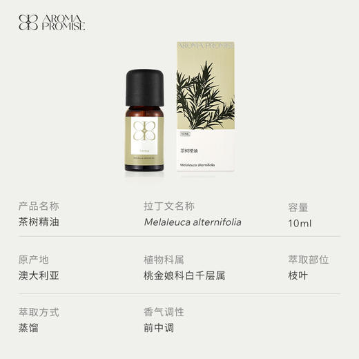 茶树精油10ml 商品图2