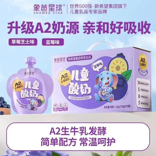 新希望象爸星球A2β-酪蛋白儿童常温果味酸奶10袋 草莓芝士味/蓝莓味 礼袋礼盒随机发 2月生产 商品图0