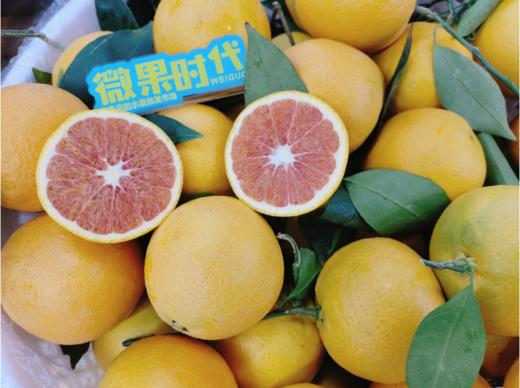 卡拉红橙3斤 商品图2