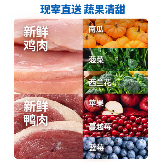 活力泰H5全价幼犬 奶糕粮 1.8kg幼犬粮奶糕粮狗粮小型犬专用泰迪柯基博美通用 商品图1