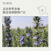 桉油醇迷迭香精油10ml 强劲略带樟脑味道的药草气息 商品缩略图6