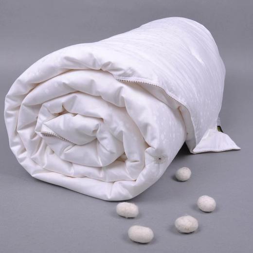 真材实料有保证江浙蚕丝被（寒潮来临前必备御寒佳品） 商品图2