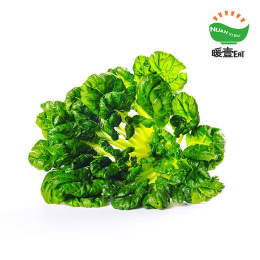 暖壹有机乌塌菜 商品图0