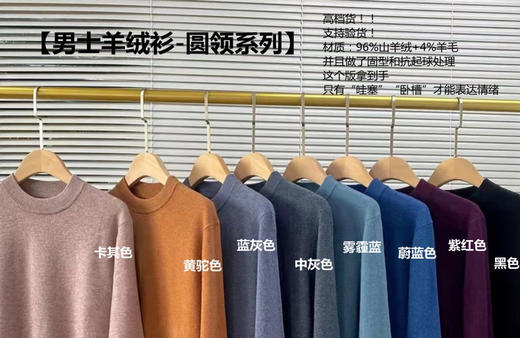 高端山羊绒衫男毛衣针织衫 商品图2