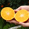 【分仓直发包邮】爱媛果冻橙5斤大果（12个以内） 商品缩略图1