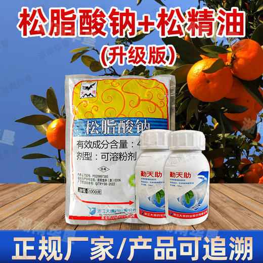 松脂酸钠（升级版）+松精油果园茶园清园专用 商品图4