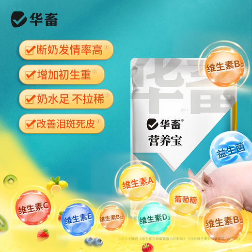 母畜 猪牛羊养殖三宝 营养宝+气血宝+排毒宝 排毒素解毒补充营养气血足催奶下奶 商品图1