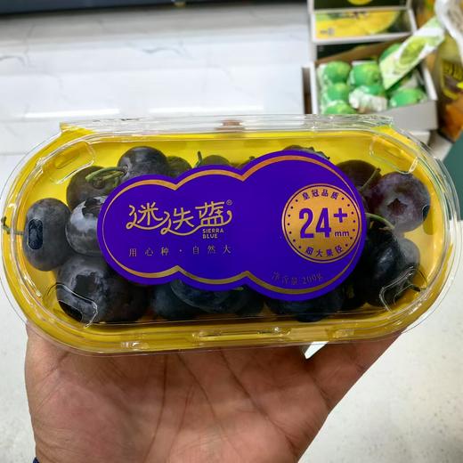 【迷迭蓝蓝莓】·迷迭兰24+ 商品图0