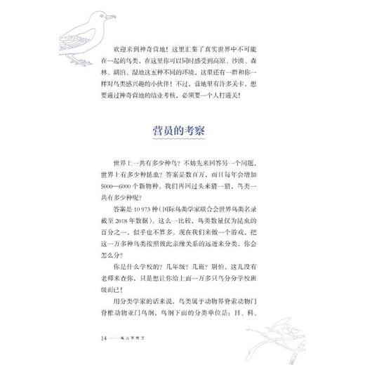 鸟儿不得了 商品图1