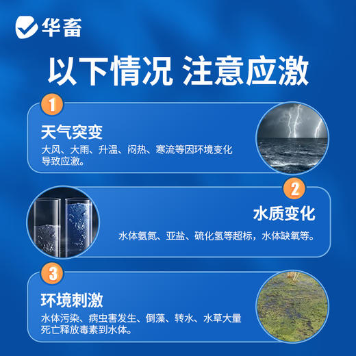 华畜vc鱼用应激灵水产养殖专用药维生素c虾蟹电解多维抗应激解毒 商品图2
