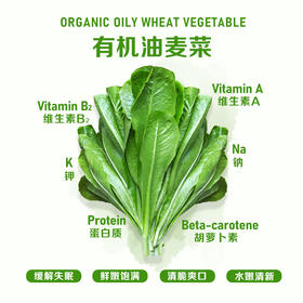 暖壹有机油麦菜