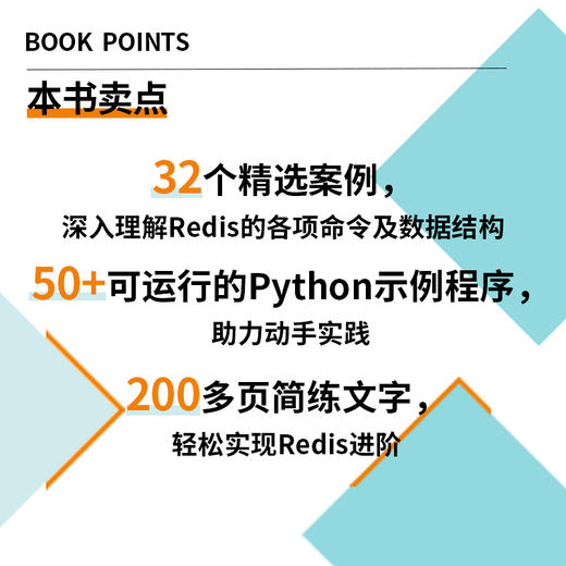 Redis应用实例 Redis设计与实现Redis高手心法大数据科学数据库管理计算机数据库书籍 商品图3