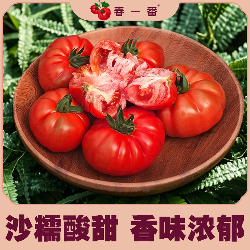 【甜蜜如初恋】塔塔蜜-草莓番茄  云南老味道番茄