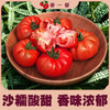【甜蜜如初恋】塔塔蜜-草莓番茄  云南老味道番茄 商品缩略图0