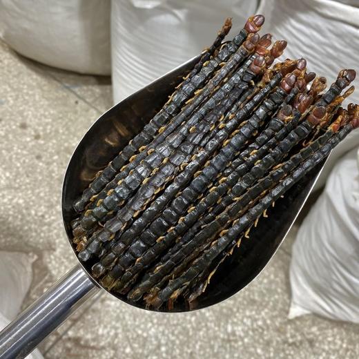 蜈蚣 不带竹签整条 16-17公分长 商品图1