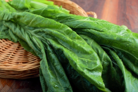 暖壹有机三月青