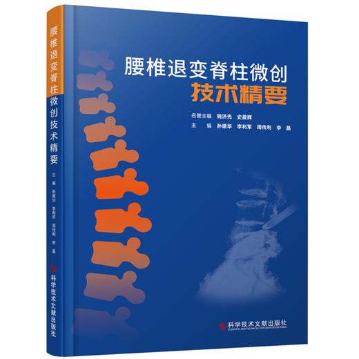 腰椎退变脊柱微创技术精要   主编  钱济先  史晨辉  文献出版 商品图0