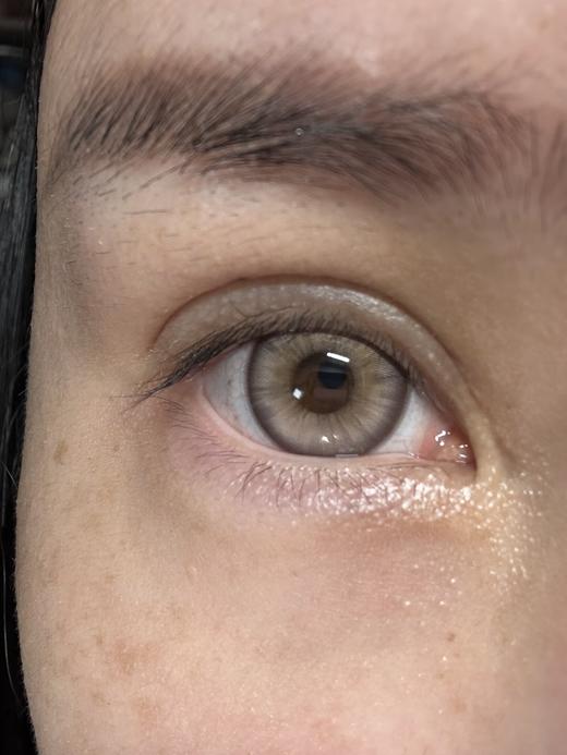 Annieone月抛-星野棕 商品图12