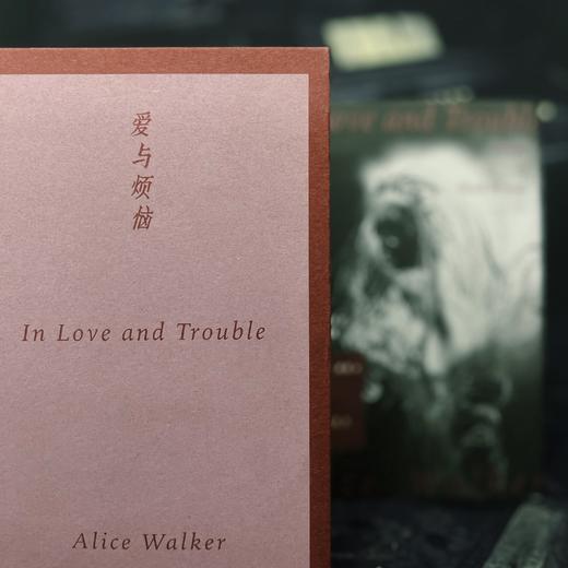 爱与烦恼 电影《好东西》同款 外国文学小说书籍 后浪正版 商品图3