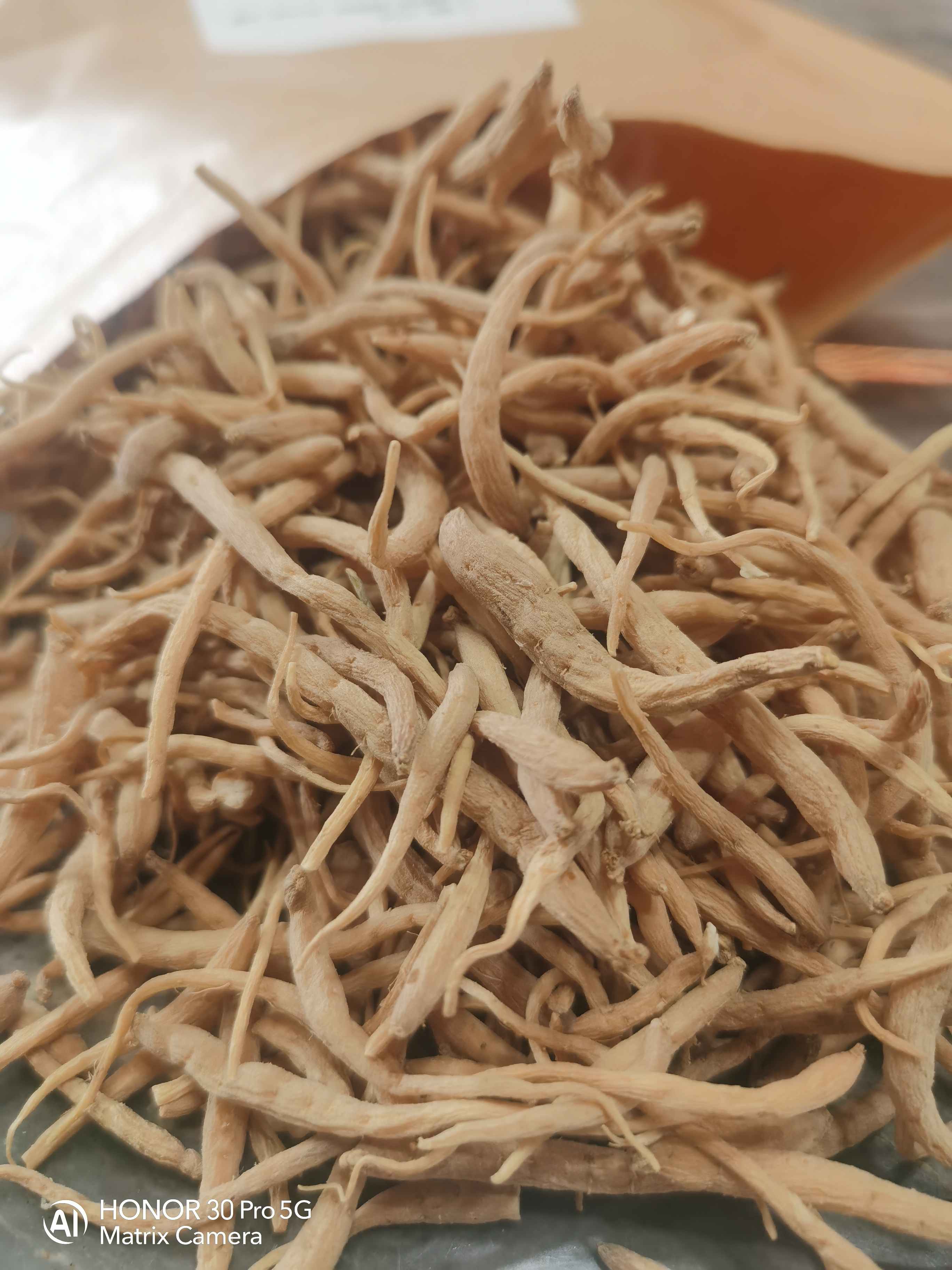 长白山林下无硫太子参