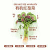 暖壹有机红苋菜 商品缩略图0