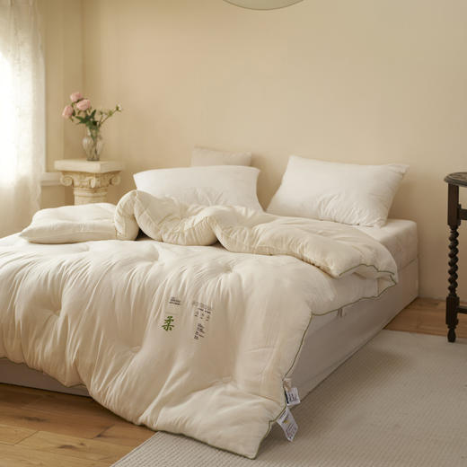 【水洗柔小豆被芯】柔柔大豆被芯纯色柔软被子简约保暖大豆被a类无染 商品图1