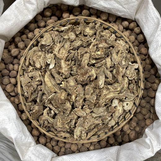 独活  常用规格 独活片 川独活 商品图2