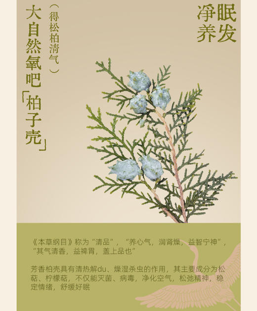 真不二艾虎枕+配套礼盒礼袋 商品图8