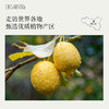 柠檬精油清凉醒脑 新鲜活泼柑橘味 净化家居空气 意大利进口原料 商品缩略图5