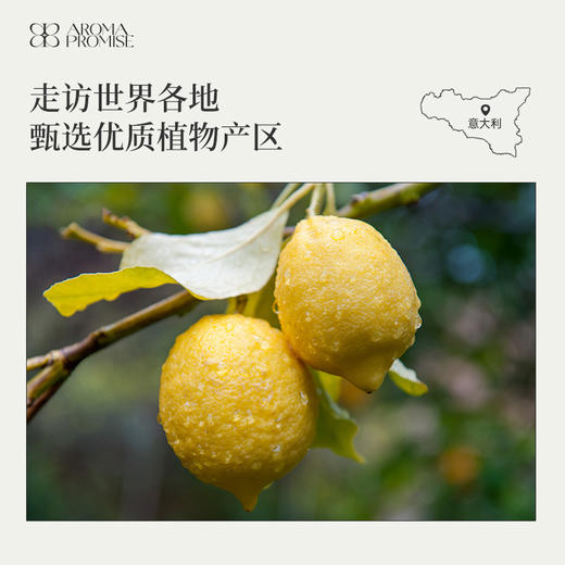 柠檬精油清凉醒脑 新鲜活泼柑橘味 净化家居空气 意大利进口原料 商品图5