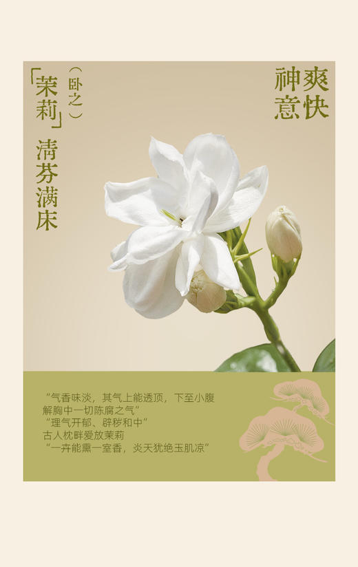 真不二艾虎枕+配套礼盒礼袋 商品图9