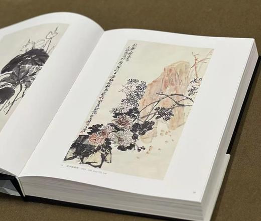 《潘天寿书画集》（纪念版），潘公凯 主编，布面精装，8 开，504页，仅印500册，浙江人民美术出版社2024年二印。定价680，售价544
  商品图4