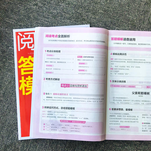 语文阅读答题模板1-6年级 商品图9