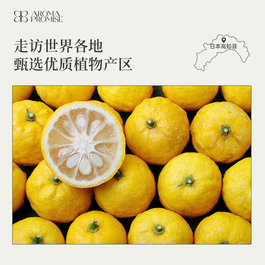 日本柚子精油5ml 有效期至26年8月30日清爽柚子香果香 商品图5