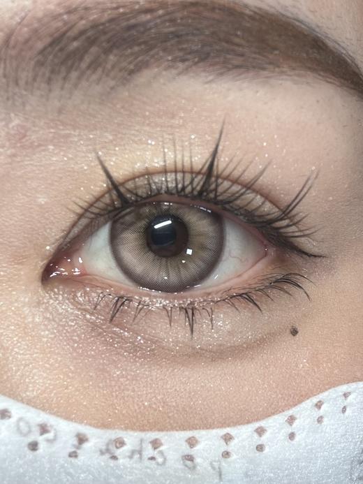 Annieone月抛-星野棕 商品图1