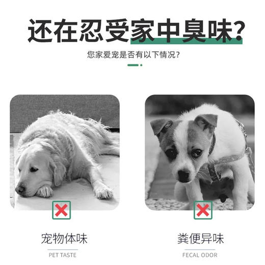 道力其除臭剂宠物除臭喷雾去尿味猫咪清新空气喷剂500ml/瓶 商品图1