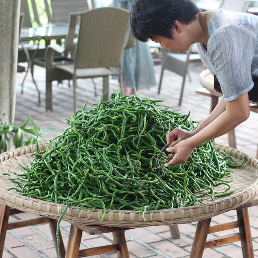 烧椒酱200g/瓶（辣椒267项0检出） 商品图10