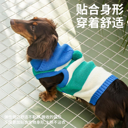 zeze条纹宠物连帽针织衫-B 商品图3
