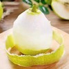 【分仓直发包邮】库尔勒香梨5斤精品果（单果100-120克） 商品缩略图3