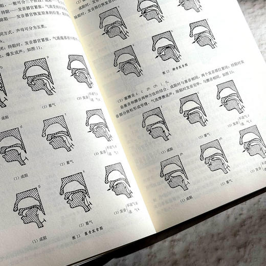 现代汉语 第三版 徐菁 徐越 现代汉语专业基础课教材 基本理论 商品图9