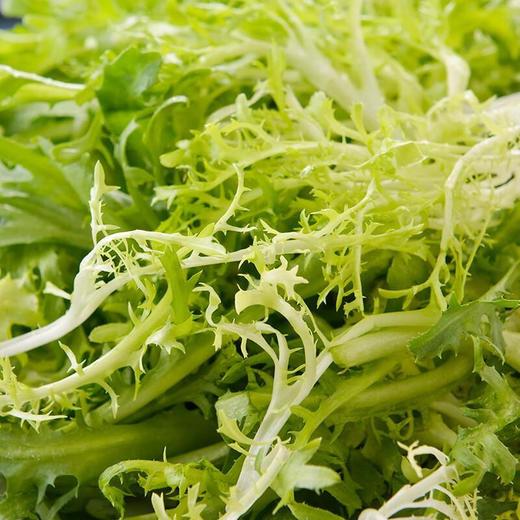 免洗苦菊生菜60g（即食鲜菜） 商品图1