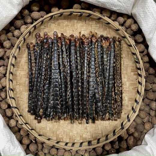 蜈蚣 不带竹签整条 16-17公分长 商品图2