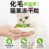 瓜洲牧鲜肉猫草冻干粒50g磨牙洁齿化毛猫咪零食冻干猫薄荷/瓶 商品缩略图1