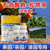 松脂酸钠（升级版）+松精油果园茶园清园专用 商品缩略图1